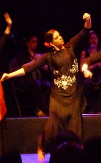 Karine-flamenco-flou.jpg